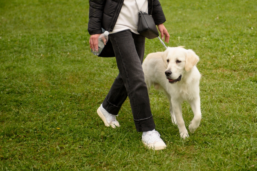Grooming A Breeze with Regular Care